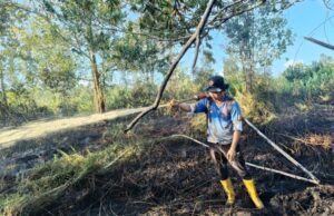 BPBD Palangka Raya Padamkan Karhutla di Jalan Hiu Putih