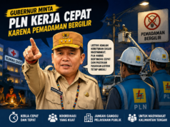 Gubernur Kalteng Minta Penanganan Cepat Atasi Pemadaman Listrik