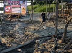 Gosong Jembatan Kahayan Kembali Muncul, Satpol PP Imbau Warga Tidak Berenang
