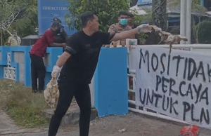 Demo Jilid II di PLN Palangka Raya, Massa Lempar Bangkai Ayam dan Tuntut Pertanggungjawaban BUANG BANGKAI