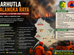Karhutla Palangka Raya Meningkat, 17 Kejadian Tercatat dan 2,18 Hektare Lahan Terbakar Karhutla Palangka Raya 17 kejadian 2,18 hektare lahan terbakar