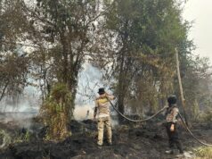 Di Km 17 Jalan Tjilik Riwut, Ditbinmas Polda Kalteng Bahu Membahu Padamkan Api dan Imbau Masyarakat Stop Karhutla Dtibinmas