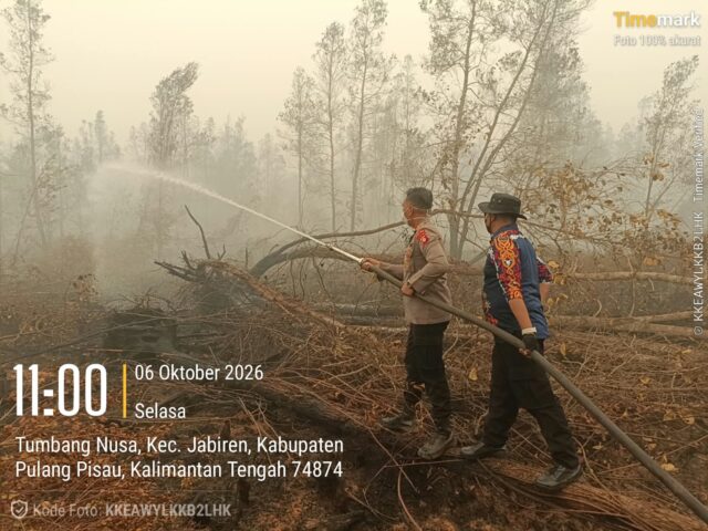 WhatsApp Image 2026-10-06 at 19.41.01